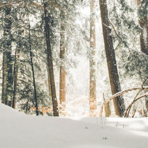 Прогноз погоды во Владимирской области на 13 марта