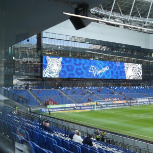 Футболисты «Динамо» Москва провели матч в поддержку дальневосточных леопардов