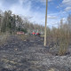 В Камешковском районе пожар уничтожил 400 квадратов сухой травы