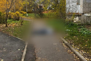 На Верхней Дуброве во Владимире мужчина разбился при падении с пожарной лестницы