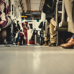 Во Владимире разработкой новой транспортной схемы займется воронежская фирма