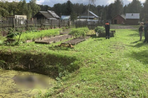 В селе под Собинкой 87-летняя бабушка утонула в маленьком частном пруду