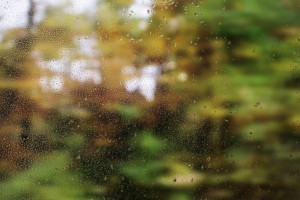 Прогноз погоды во Владимире и области на 8 апреля