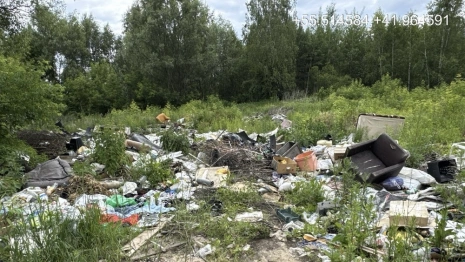 В Муроме прокуратура потребовала убрать 4 стихийных свалки