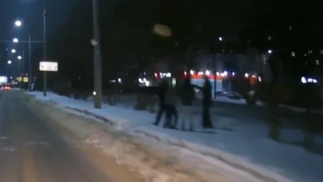 Во Владимире хулиганы забросали машины снежками