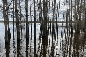Авдеев: пик паводка во Владимирской области пройден