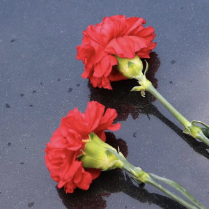 Крупный город Владимирской области остался без ветеранов войны