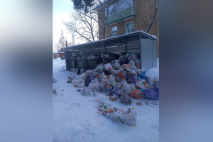 Поселок во Владимирской области утонул в мусоре