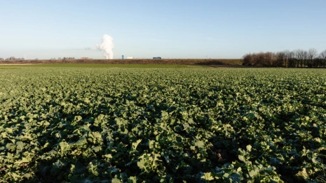 Во Владимирской области нашли токсины в почве на 17 участках