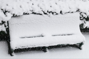 Во Владимирскую область может прийти бушующий в Москве циклон Ольга