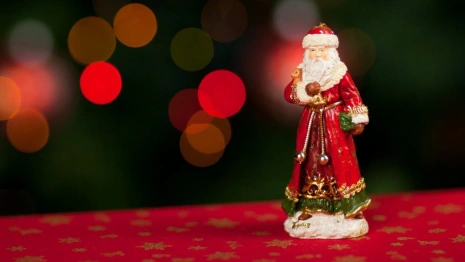 Для владимирских детей проведут бесплатные елки