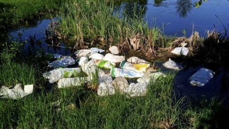 В деревне под Киржачом неизвестный выбросил в водоем 100 трупов уток в мешках