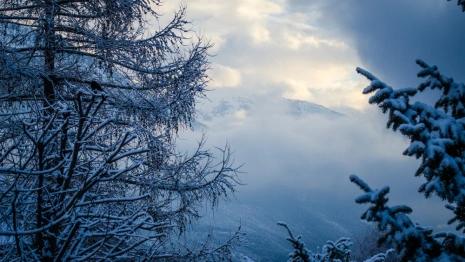 Прогноз погоды во Владимире и области на 22 февраля