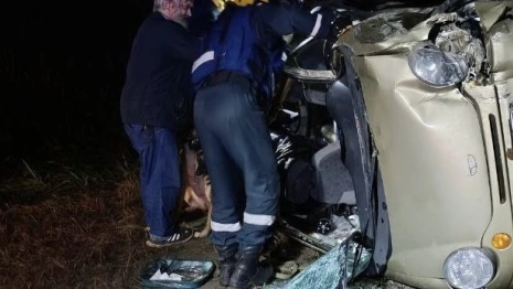 На М-7 во Владимирской области перевернулась легковушка с двумя собаками и котенком