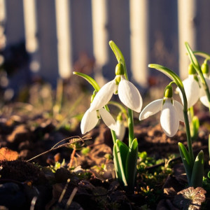 Майское тепло придет во Владимирскую область в выходные