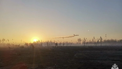 Пожар из-за детонации снарядов под Киржачом помогла тушить военная авиация