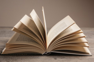 Сектанта из Гусь-Хрустального оштрафовали на 2 тыс. рублей