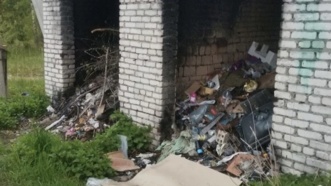 В Селивановском районе нашли 12 стихийных свалок