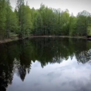 Блогер показал озеро Глубокое в Муроме под водой