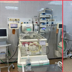 Во Владимирской области впервые за 5 лет родились тройняшки