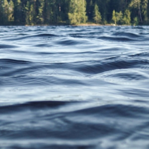 Во Владимирской области утонули 7 детей и 28 взрослых