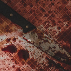 Во Владимирской области нашли два трупа пенсионеров