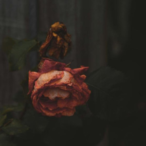 Во Владимирской области нашли труп 55-летнего мужчины