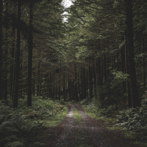 Во Владимирской области 66-летнего мужчину в бейсболке нашли живым