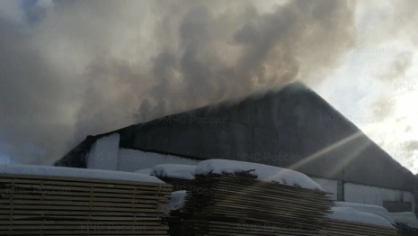 Во Владимирской области загорелось деревообрабатывающее производство