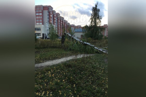 Последствия разрушительного урагана во Владимирской области показали на фото и видео