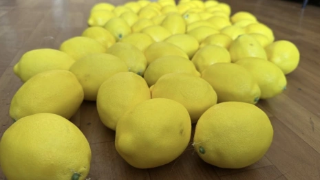 Во Владимире 21-летний парень с двумя подростками украли лимоны с инсталляции у кофейни