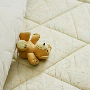 Во Владимирской области 600 сотрудников «Асконы» лишились работы