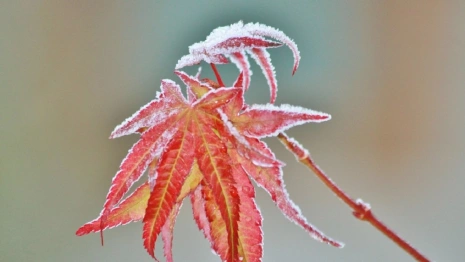 Синоптики дали прогноз на последний день лета во Владимирской области