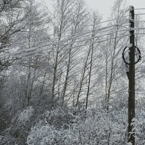 Во Владимирской области из-за непогоды свет пропал в 6 районах