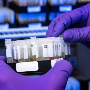 Во Владимире больница накопила долги по 74 контрактам