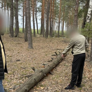 Попавшийся на покупке наркотиков житель Гусь-Хрустального пытался дать взятку полицейскому