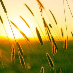 Во Владимирскую область придет 30-градусная жара