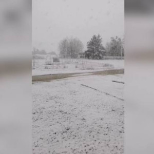 Юг Владимирской области завалило снегом