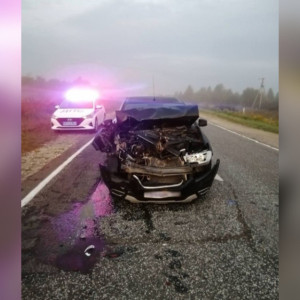 Во Владимирской области 4-летний ребенок пострадал в ДТП