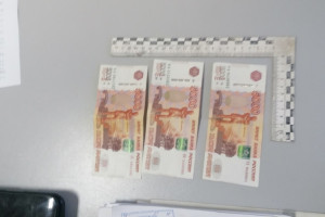 Нелегала из Петушков будут судить за попытку дать взятку в 15 тыс. рублей полицейскому