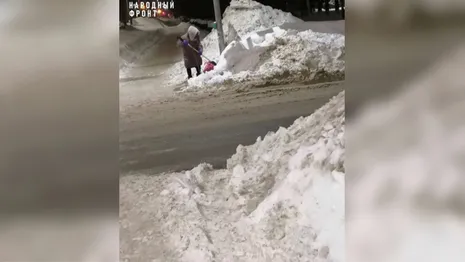 Во Владимире бабушка вышла с лопатой и почистила тротуар от снега
