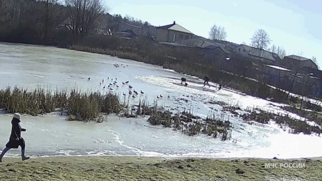 МЧС показало кадры спасения двоих детей на Кукушкином пруду в Коврове