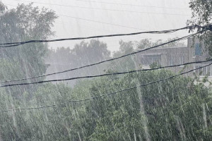 Природный апокалипсис во Владимире. К чему привели ливень, гроза и ураган