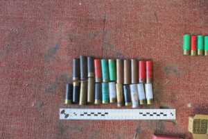 В Гороховце под суд пойдет браконьер из Нижнего Новгорода
