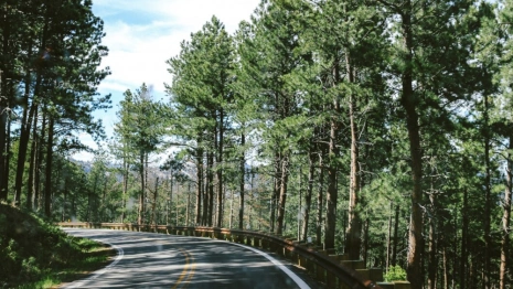 Во Владимирской области спасли пропавшего 38-летний мужчину со спортивной сумкой