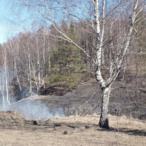 Во Владимирской области могут ввести особый противопожарный режим