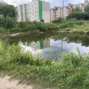 Спасатели показали, где в Собинке утонул 6-летний мальчик