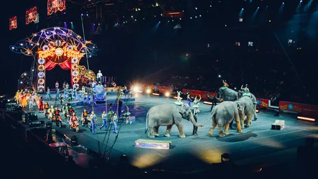 В Госдуме предложили запретить цирковые шоу с животными