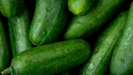 Эксперты внезапно опровергли мифы об огурцах и Суздале