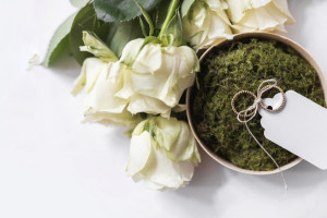 В ноябре-2024 во Владимирской области поженились 496 пар